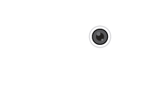 Pedro Fonseca Logo